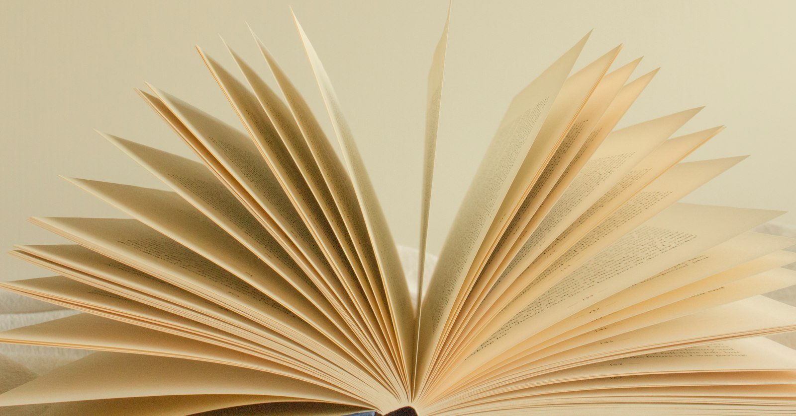 A book open at the start of a chapter.
