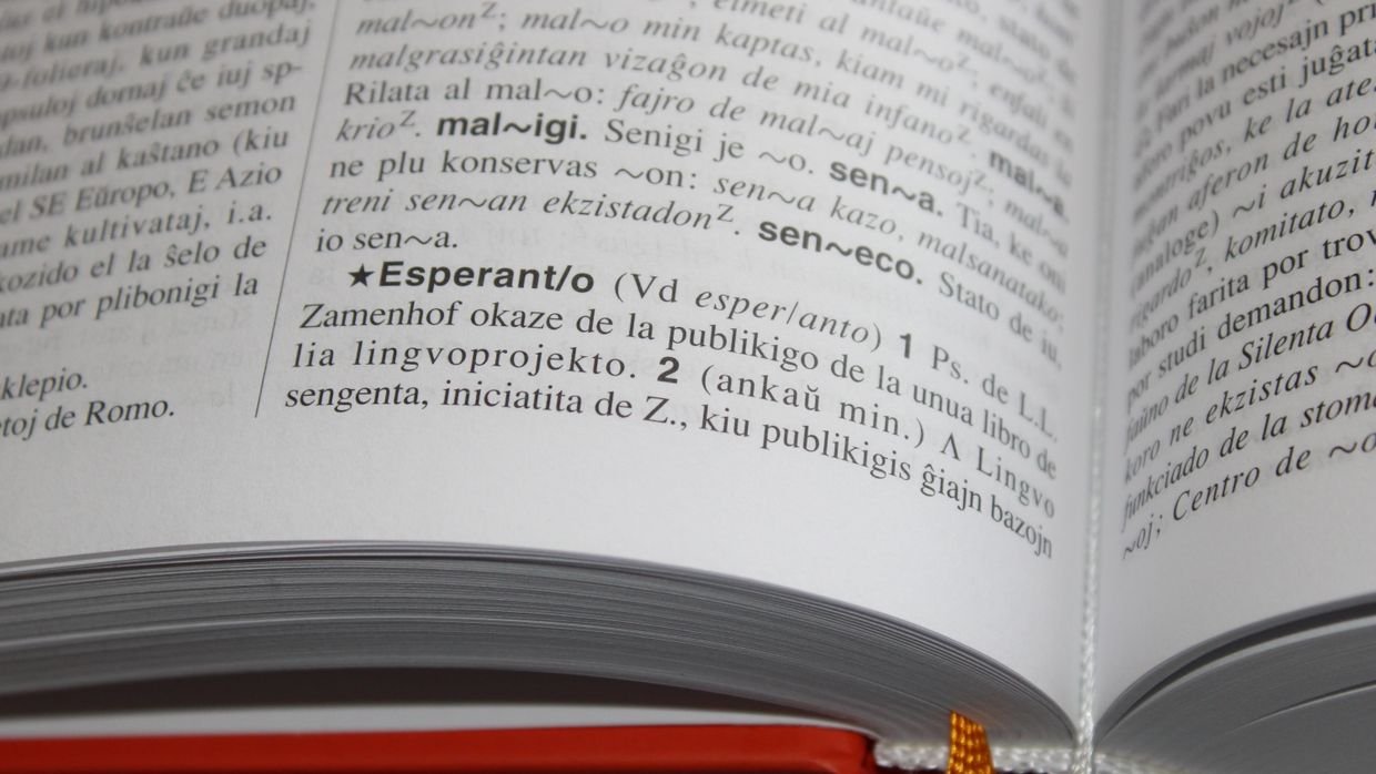 Two dictionaries open side by side.