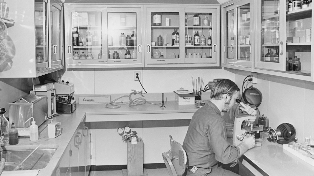 A microscope standing on a laboratory bench.
