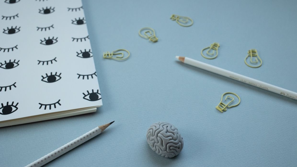 An anatomical brain model on a desk.
