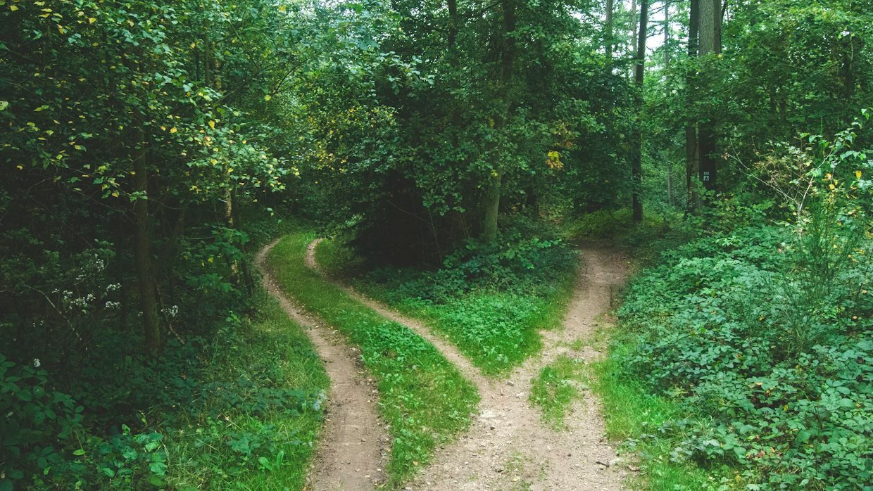 A path forking into two directions.