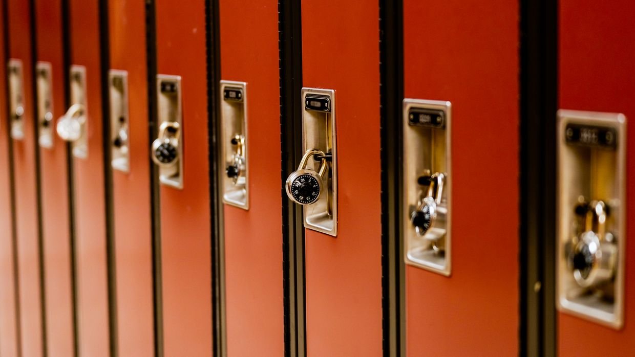 A row of locks of different sizes.