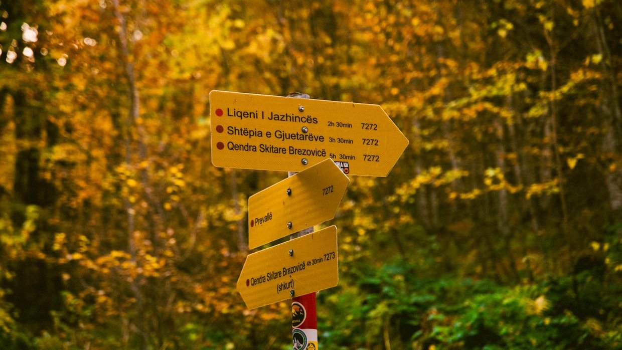 A trail sign marking three routes.