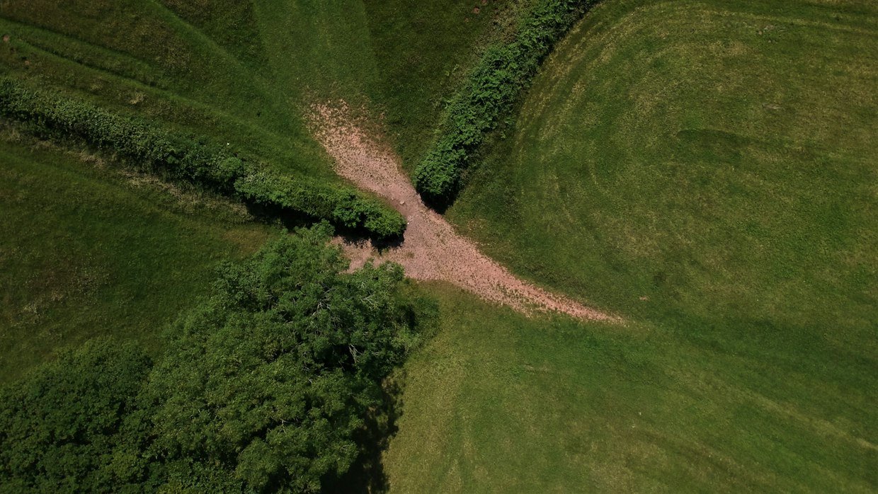 Three paths diverging across open ground.
