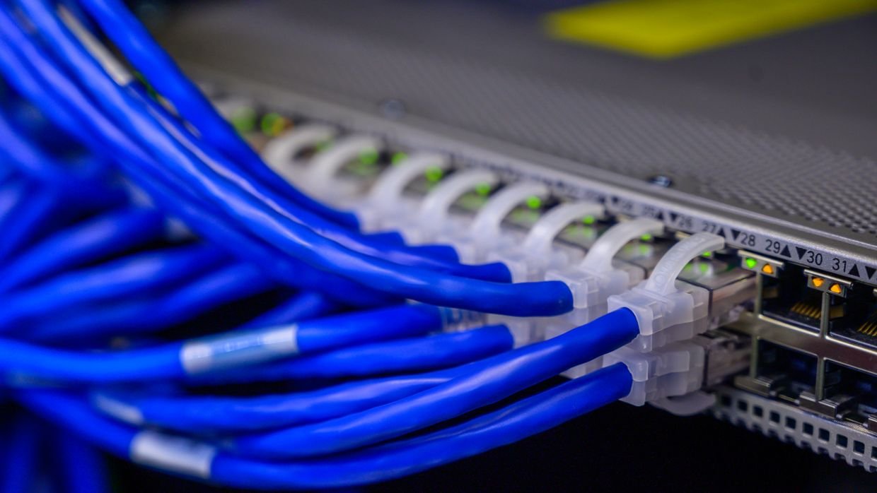 Two cables plugged into a patch panel.