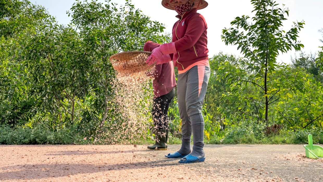 A sieve separating coarse material.